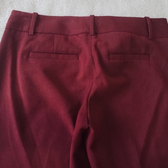 The Limited Dress Pants - Picture 7 of 8
